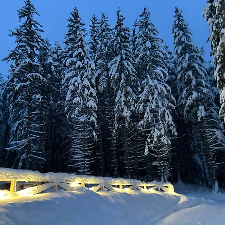 Algara Hut Hotel Panichishte Buitenkant foto
