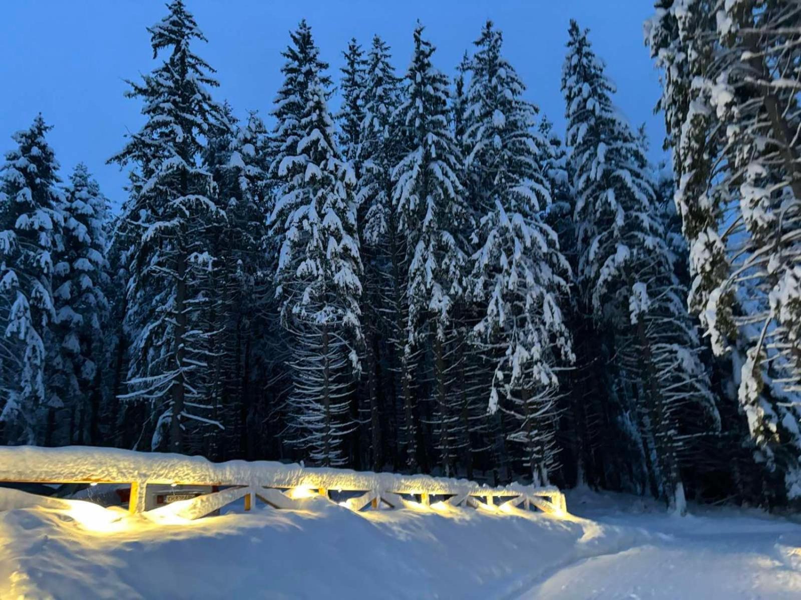 Algara Hut Hotel Panichishte Buitenkant foto